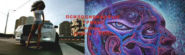 герыч Бугульма