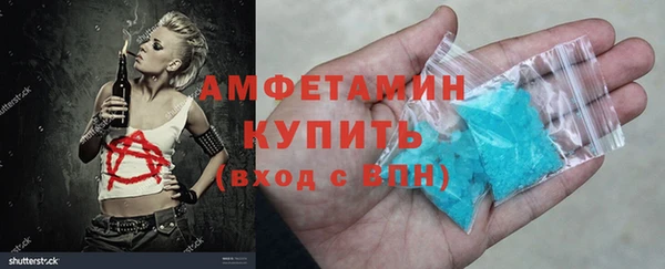 индика Богородицк
