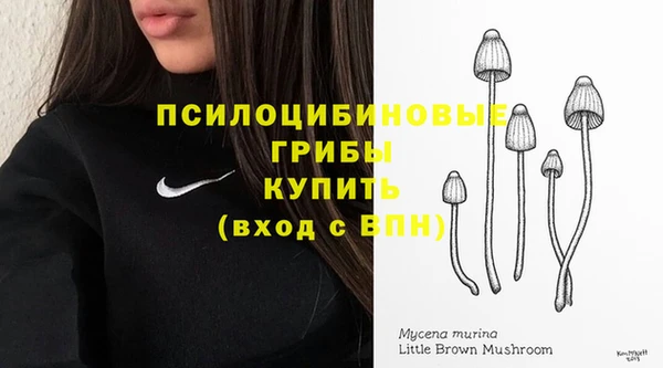 MESCALINE Бородино